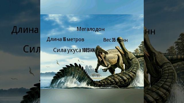 Саркозух против мегалодона смотреть онлайн