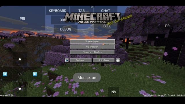 Playing 1.20 in PojavLauncher || 1/2/3/4 gb ram phones all working || Now play 1.20 || 100 fps? Eas смотреть онлайн
