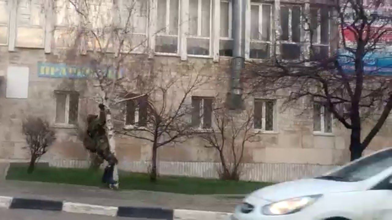 Приколы городка, как почесать об дерево свои бубенцы. смотреть онлайн