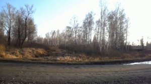 Просто так- землякам с Быстрого Истока.  Алтай 2017