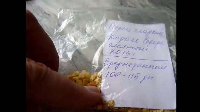 САМЫЕ УРОЖАЙНЫЕ СОРТА ПЕРЦА СЛАДКОГО ! Семена перца на рассаду! Проверенные сорта перца сладкого