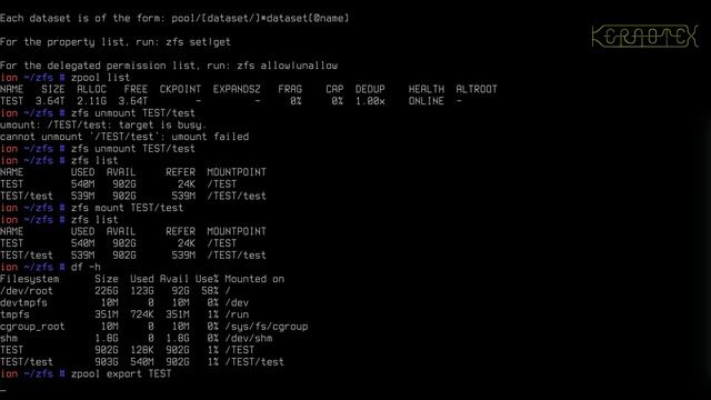 Beginner's guide to ZFS. Part 16: Importing and Exporting Pools смотреть онлайн