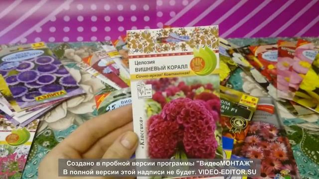 Обзор однолетних цветов(вторая часть) смотреть онлайн