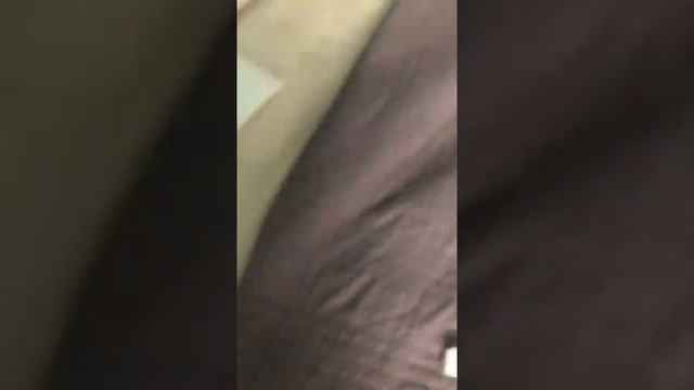 Yogi Bear for the ds review смотреть онлайн