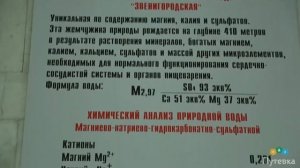 Санаторий Звенигородский (Московская обл., г. Звенигород)