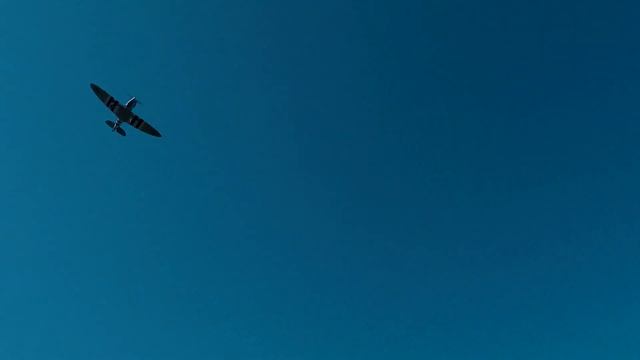 Spitfire Seagull 30cc смотреть онлайн