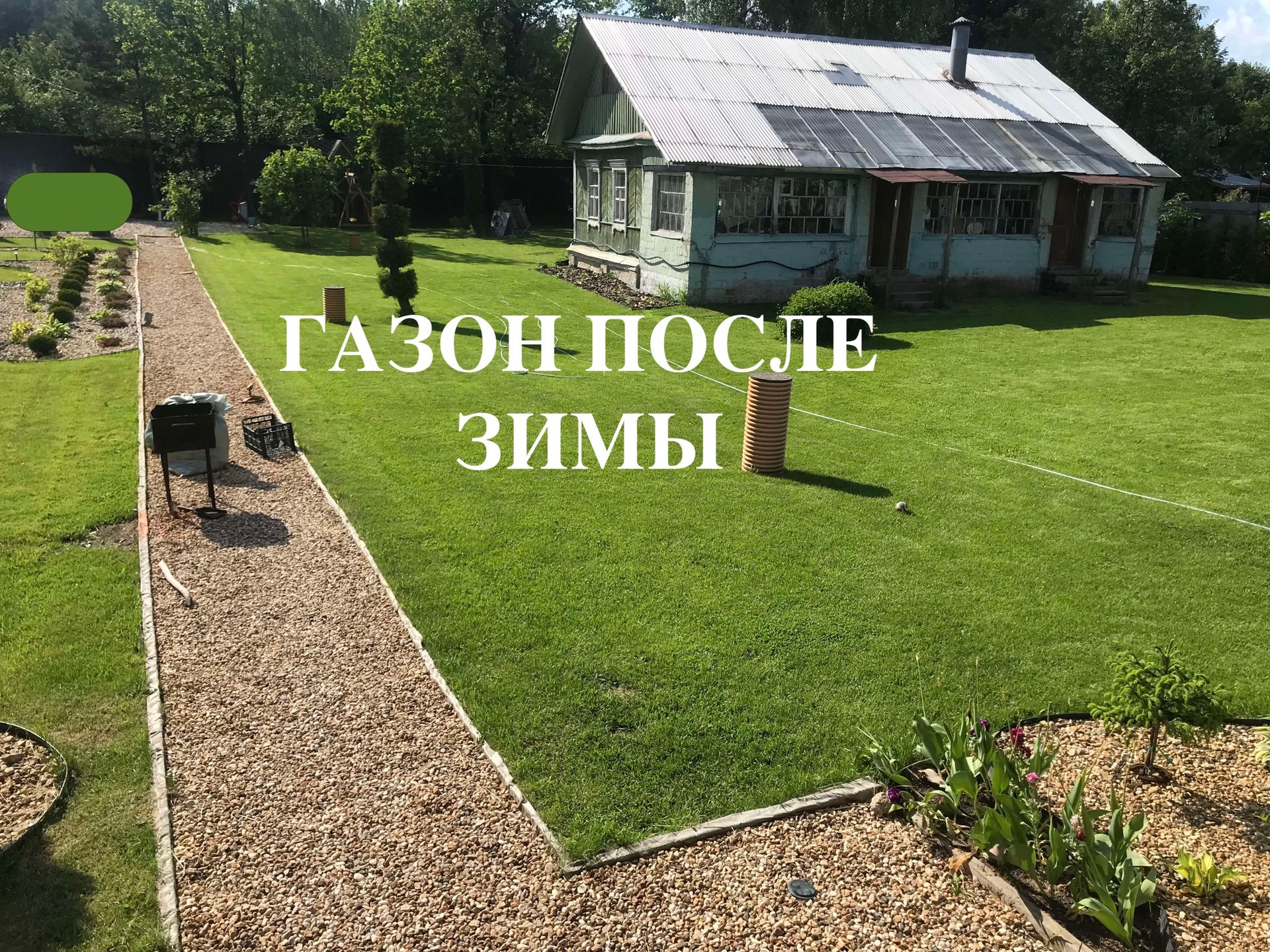 Газон выход после зимы