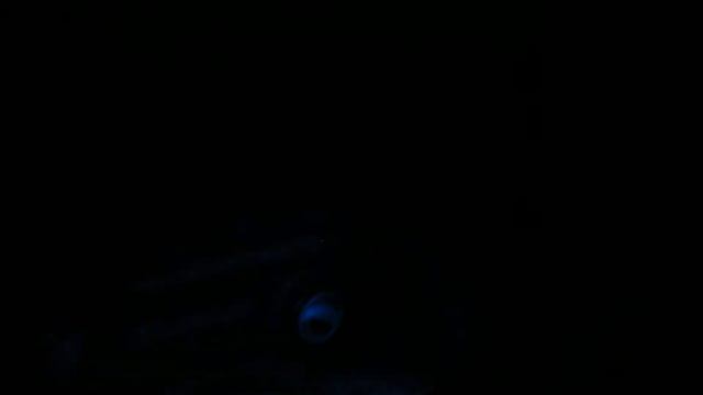 Как продлить срок службы ковриков КИА Спортейдж 3 смотреть онлайн