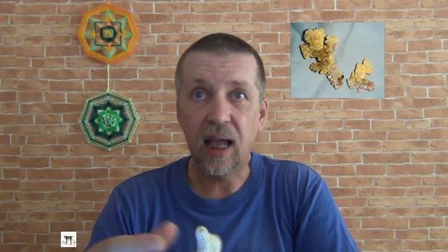 КОРАЛЛ. Сакральные свойства. Литотерапия. Валерий Кузнецов смотреть онлайн