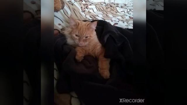 Как мы расли смотреть онлайн