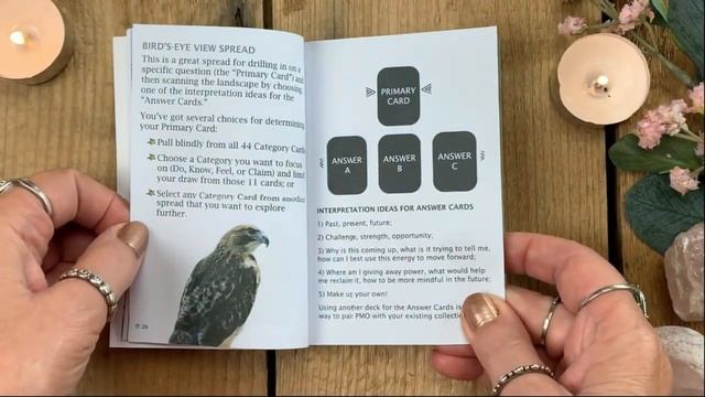 Prairie Majesty Oracle walkthrough смотреть онлайн
