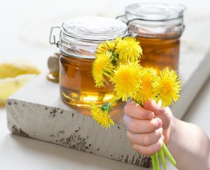 Как сделать целебное средство из сока одуванчиков