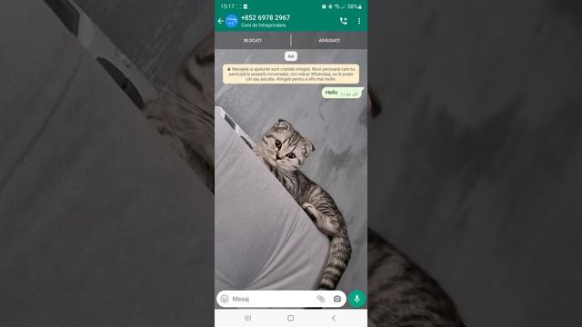 opencart ? big scam ? mare teapa смотреть онлайн