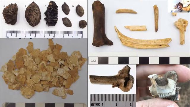 Lunch and Learn-Archaeological Excavations at Belle Grove Plantation смотреть онлайн