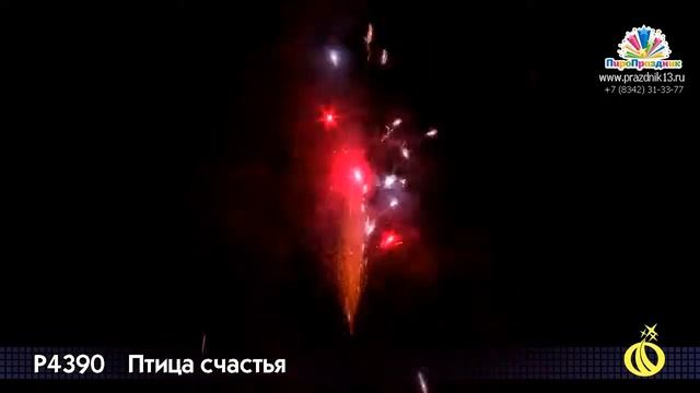 Р4390 ПТИЦА СЧАСТЬЯ смотреть онлайн