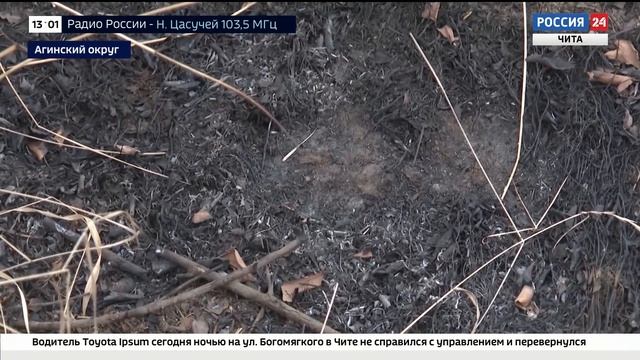В Агинском округе за неделю зафиксировано восемь ландшафтных пожаров смотреть онлайн