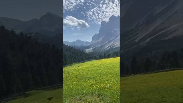 Завораживает смотреть онлайн