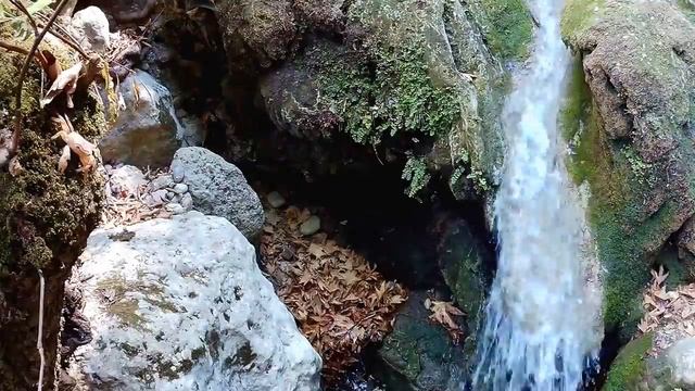 родос долина бабочек 20 смотреть онлайн