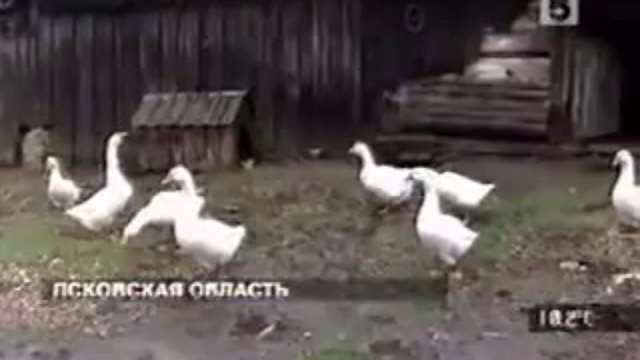 ВЛАСТИ ОТДАЛИ ТЕРРИТОРИЮ РОССИИ ДАРОМ смотреть онлайн