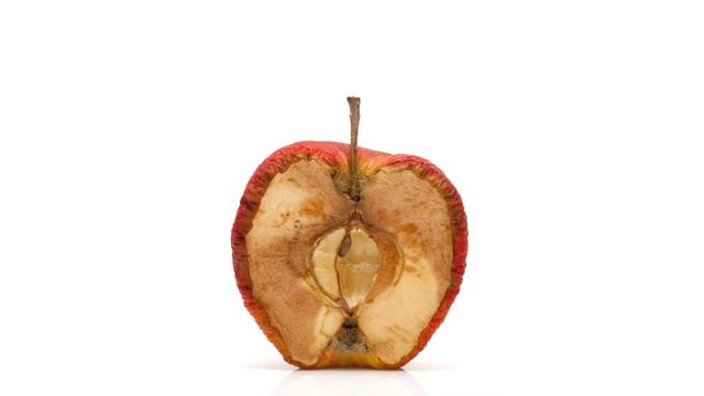 Medical company AD смотреть онлайн