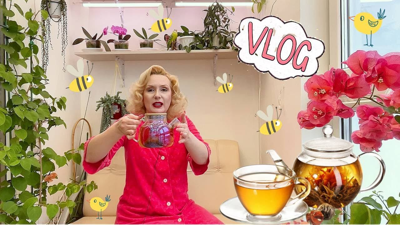 ЧАЕПИТИЕ НА ЛОДЖИИ И БОЛТАЛКА//СЯДУ ЛИ ЗА РУЛЬ, ЗАЛИЛИ БУГЕНВИЛЛЕИ и пр. смотреть онлайн