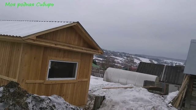 Пошла проведывать курицу - наседку. Кто со мной? Наши петухи необыкновенные красавцы! смотреть онлайн
