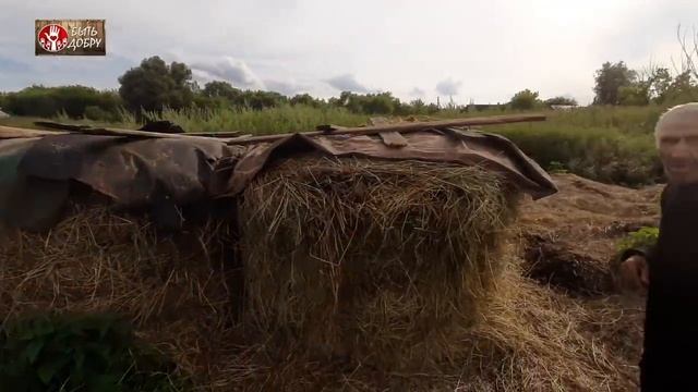 ДЕДУ МАТВЕЮ ПРИВЕЗЛИ СЕНО!ПОДАРИЛИ ПОДАРКИ ИЗ ИВАНОВО! смотреть онлайн