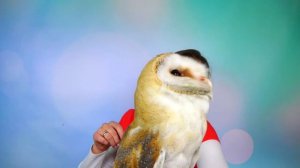 Обычная Еда против Мармелада Челлендж! МАМА ПЛАЧЕТ! Real Food vs Gummy Food - Candy Challenge