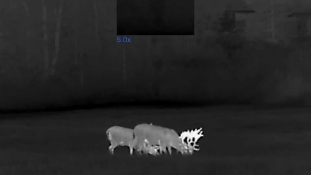 Pulsar Talion XQ38 Thermal Imaging Riflescope