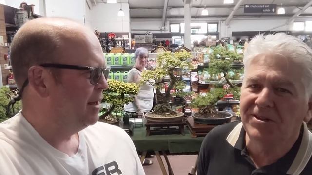 Fylde bonsai Association summer display + creating an exposed root cotoneaster смотреть онлайн