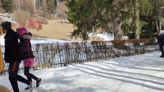 Мужчина играет на аккордеоне в зимнем парке, напротив замка Пелеш смотреть онлайн