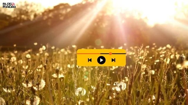 Hãy Để Niềm Vui Gõ Cửa | Radio Chữa Lành смотреть онлайн