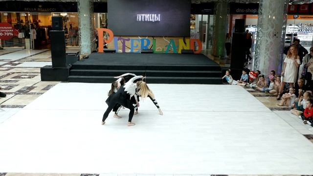Птицы - Choreo DUO/TRIO - IDOL DANCE смотреть онлайн