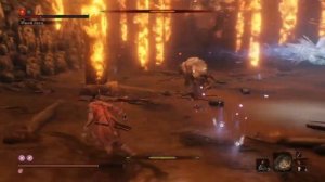 Sekiro Shadow Die Twice : Гайд - Турнир : Сура. Как получить облик Суры. И как пройти на Легке!