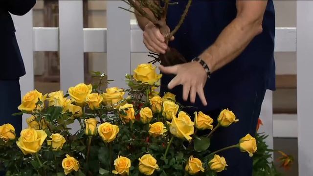 Cottage Farms 2-piece Julia Child Rose Collection On QVC