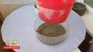 Кашпо из цемента своими руками / Вазон Отливаем из цемента и Пластиковой упаковки