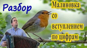 Малиновка с вступлением // разбор на гармони