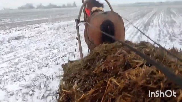 НА КОБЫЛЕ ЛАСТОЧКЕ СОВЕТСКИЙ ТЯЖЕЛОВОЗ ВОЗИМ НАВОЗ