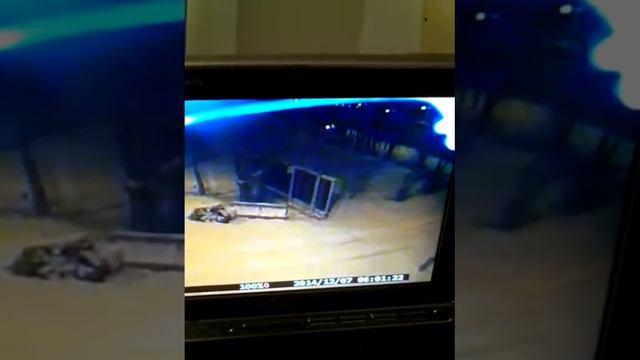 где живут Там и гадят смотреть онлайн