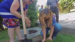 Санаторий «Магадан» 3* Лоо, Сочи, Россия | обзор отеля, территория, питание