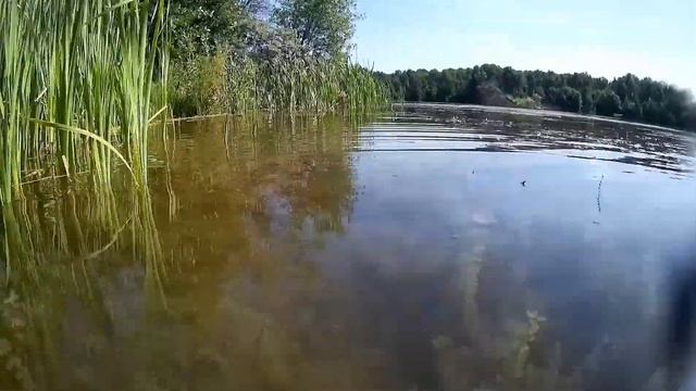 Гжельские карьеры Коняшино смотреть онлайн