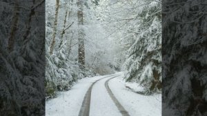 Поль Мориа (дорога домой)