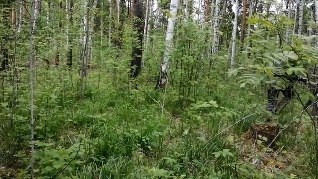 Покатушки 31.05.2020г. с клубом "Алапаевск 4*4" смотреть онлайн