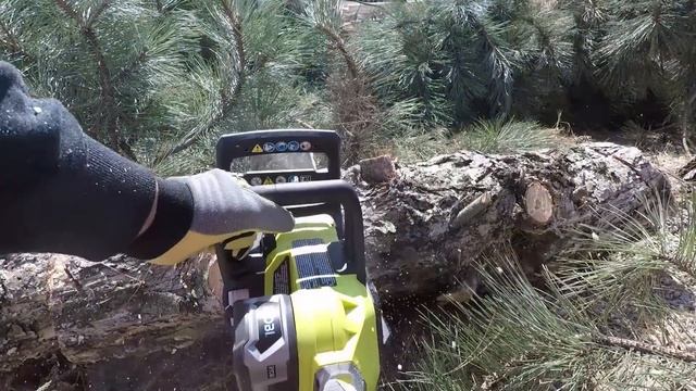 RYOBI ONE+ 18-Volt Brushless 12" Chainsaw Review P548 смотреть онлайн