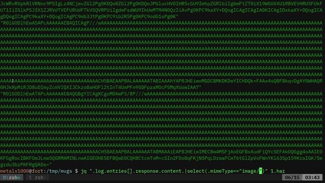 Web Scraping Mugshots with HAR JSON jq смотреть онлайн