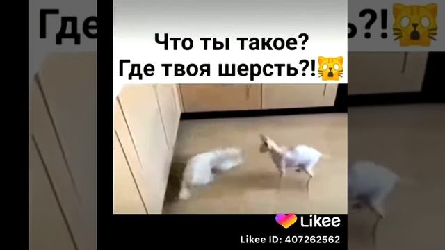 14 марта 2020 г. смотреть онлайн