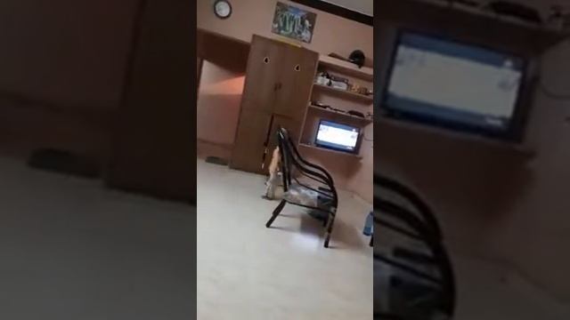 My sun playing the game смотреть онлайн