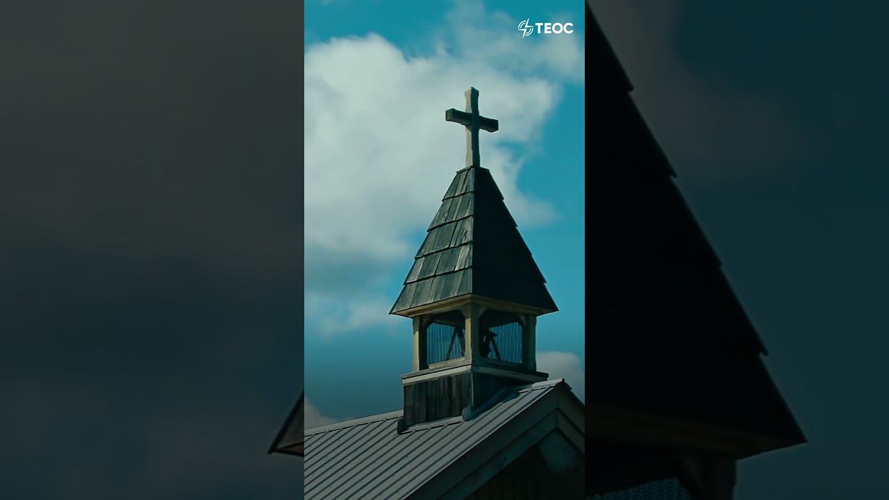 Победил рак после 12 курсов химиотерапии смотреть онлайн