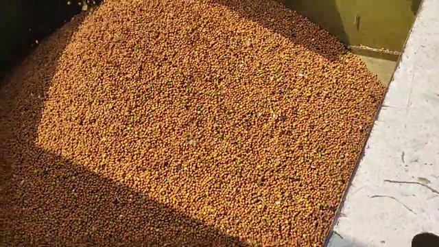 Class ct 30 harvesting chana смотреть онлайн