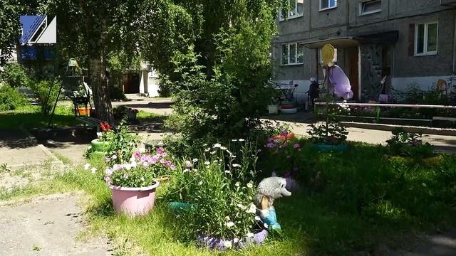 Благоустройство без вреда для экологии смотреть онлайн